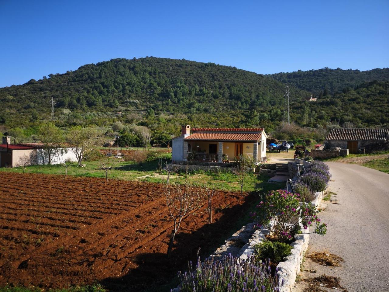 Holiday Home Cvitka Vis Exterior photo
